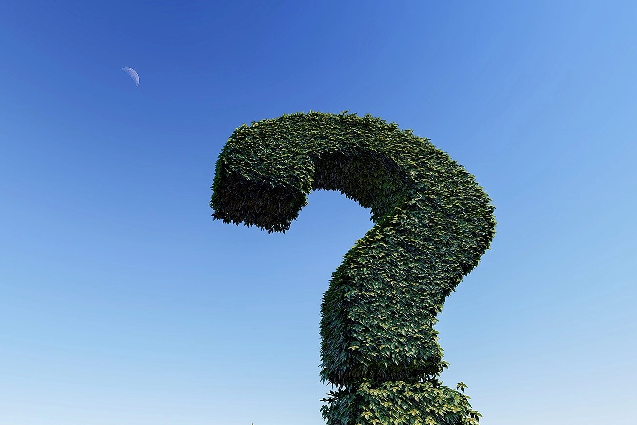 Yapay Zekayla Sohbet Etmek: